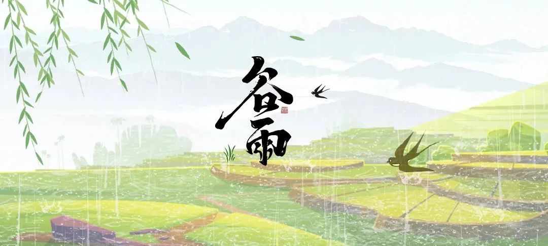 藏在二十四節(jié)氣里的食與味 - 谷雨茶之零咖啡因新茶